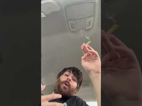 @cali blaze cherry cola tarantula preroll review ￼