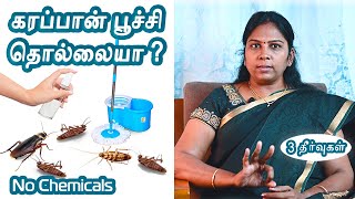 3 Remedies for Cockroach Issue in House - In Tamil