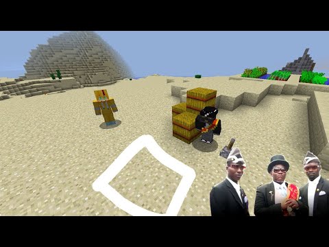 Coffin Meme but Cat is Vibing - Minecraft movie#3  SaenZa Gaming