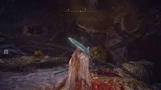 ［ELDEN RING＃25］黄金の王都の闇、忌み捨ての地下［死にゲー］