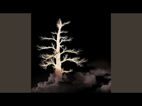 Fear Is a Deadly Weapon (Remix)