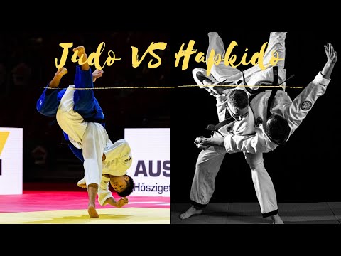 Judo VS Hapkido 합기도 合氣道