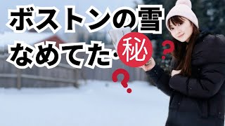 🇺🇸歴史的豪雪！ボストン本気の雪に腰抜かしました