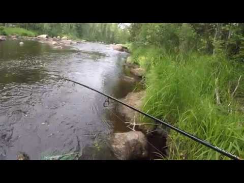 Markus Kalassa - Jokikalastus 2018 Kirjolohen väsytys