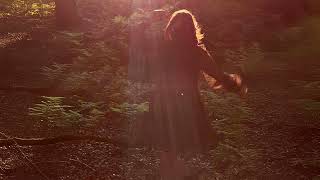 Te Wehi - Life Of The Party (Audio)