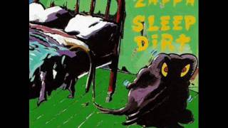 Sleep Dirt Music Video