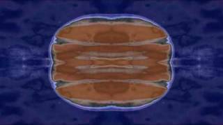 Paint it Black - Rick Wakeman