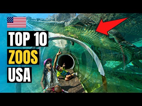Top 10 Best Zoos to Visit in USA 2026