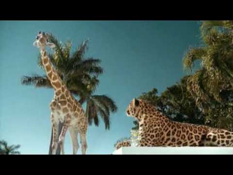 Schweppes - Barbeque (2000, France)