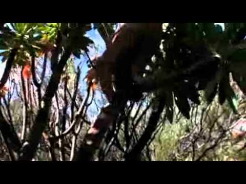 Wandern im Teno-Gebirge