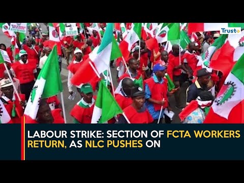 Labour Strike: Section of FCTA workers return, as NLC pushes on