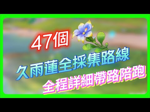 久雨蓮位置