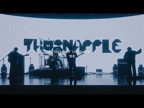 쏜애플(THORNAPPLE) - '멸종' (EP 'Animal' Live Session)