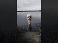I think it's safe to swim here #nightmare #creepy #cursed #horror #shorts
