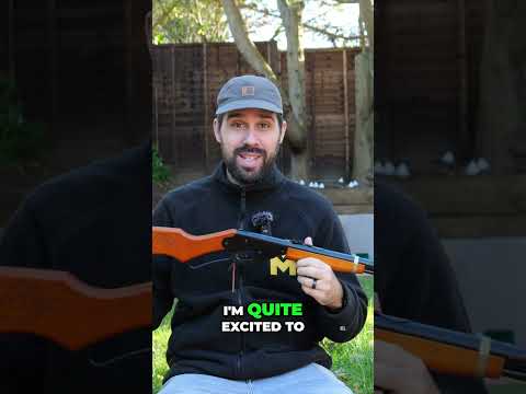 FIRST LOOK AND SHOTS WITH THE DAISY RED RYDER PISTOL 