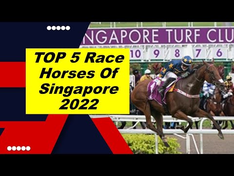 Singapore Top Race Horse 2022 - BEST OF SINGAPORE RACE HORSE