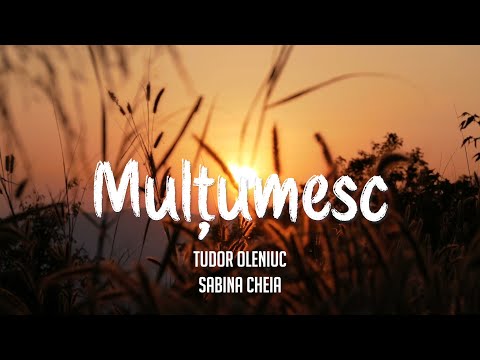 Mulțumesc (feat. Sabina Cheia)
