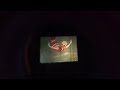 Donald Duck Trailer Horn 1950 Disney Movie Viewer Cartridge