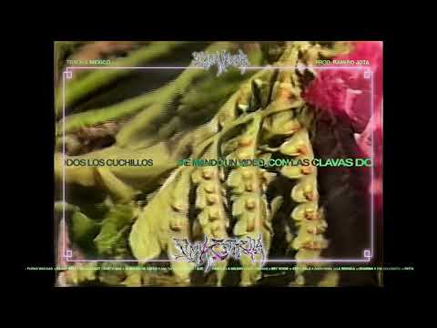 Mexico - Sara Hebe (Videolyric)