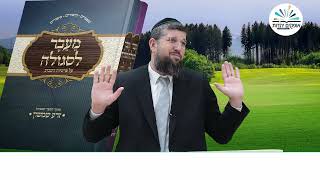 אמונה פורצת גבולות | פרשת וירא תשפ"ו | הרב אליהו עמר (הרב אליהו עמר) - התמונה מוצגת ישירות מתוך אתר האינטרנט יוטיוב. זכויות היוצרים בתמונה שייכות ליוצרה. קישור קרדיט למקור התוכן נמצא בתוך דף הסרטון אמונה פורצת גבולות | פרשת וירא תשפ"ו | הרב אליהו עמר (הרב אליהו עמר) - התמונה מוצגת ישירות מתוך אתר האינטרנט יוטיוב. זכויות היוצרים בתמונה שייכות ליוצרה. קישור קרדיט למקור התוכן נמצא בתוך דף הסרטון