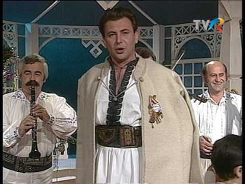 Nicolae Furdui Iancu - Zorile