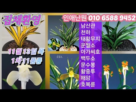 유튜브 썸네일