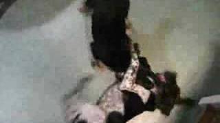 The Most Excruciating Vibe