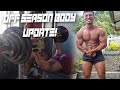 TRYING OUT HEAVY BENCH PRESS | OFF SEASON BODY UPDATE | SIZING UP