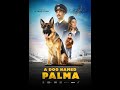 A Dog Named Palma Movie | Heart Touching | Emotional Scene
