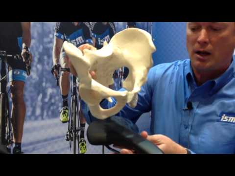 Saddle Choice for Comfort and Health: ISM Saddles