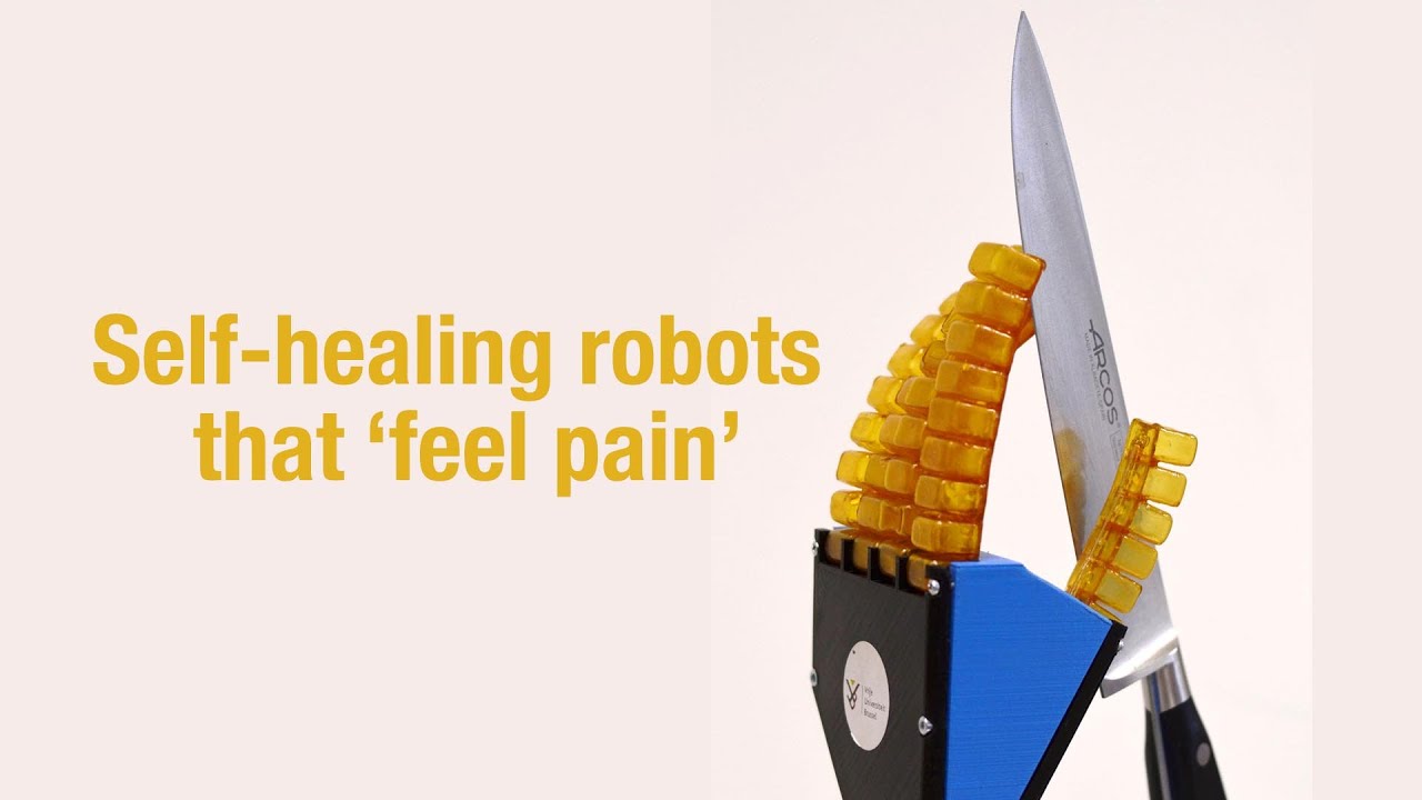 Self-healing robots that ‘feel pain’