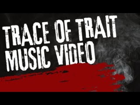 Almah - Trace of Trait online metal music video by ALMAH