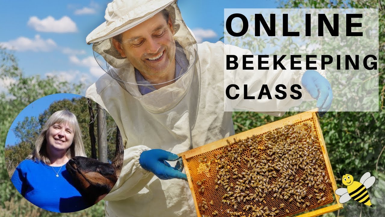 Beekeeping for Beginners - Online Class From A Master Beekeeper