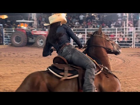 Nova Tebas encerra festividades com finais da Prova dos Três Tambores, rodeio e show de Bruno Rosa