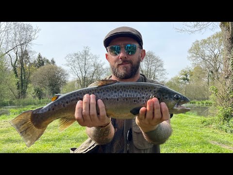 Cooking Fish on a Plank of Wood | Fly Fishing Catch & Cook