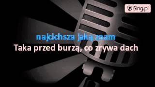 Dawid Podsiadło - Nieznajomy (karaoke iSing.pl)