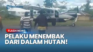 KKB Bersembunyi di Balik Rimba! Ini Fakta-fakta Penembakan Pesawat Smart Air di Boven Digul