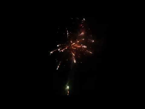 CL042 ЗМЕЙ ГОРЫНЫЧ 1 х120