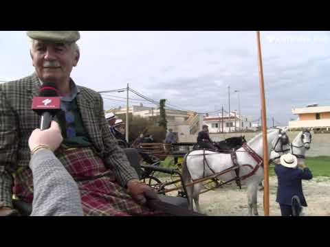 13 novembre 2021 - Ugento, viaggio in carrozza alla scoperta del Salento