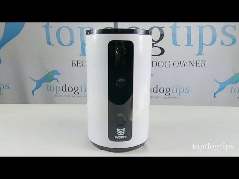 WOpet Pet Camera Giveaway