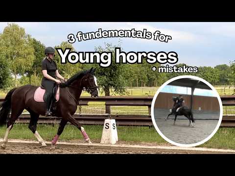 How to ride a young horse: 3 Key Pillars for riding young horses