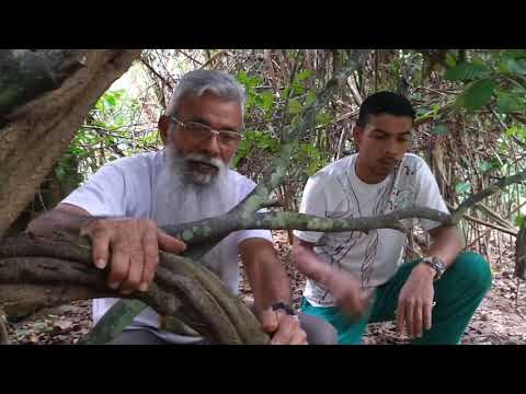 Enxotando os maus fazejos