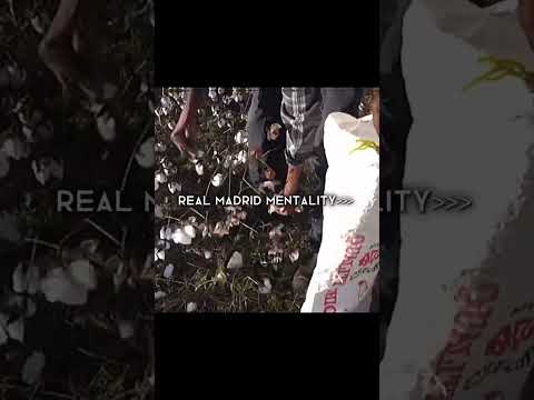 Real Madrid mentality #edit #funny #mentality #shorts