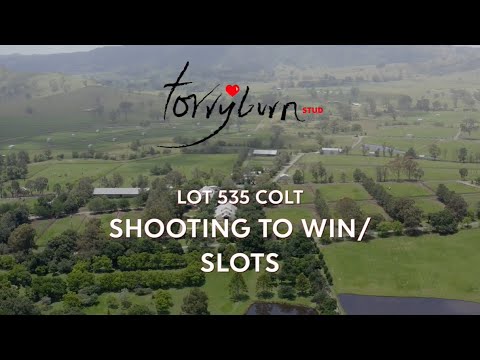 LOT 535 - Shooting to Win X Slots (Colt)