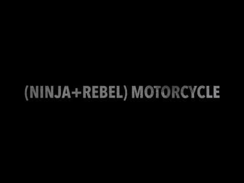 The NIBLE (ninja+rebel) in action