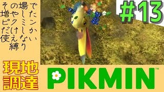 その日増やしたピクミンしか使えない縛り【現地調達ピクミン】#13