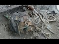 Skeletons of WW1 soldiers discovered in excavated former trenches Skeletons of WW1 soldiers discovered in excavated former trenches