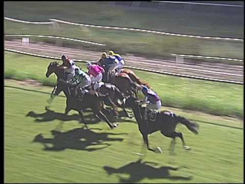 Galoppo 20/08/2016 - 2° corsa