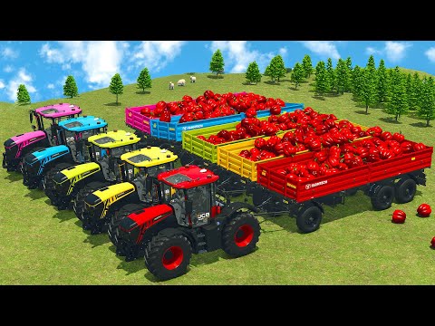 LOAD AND TRANSPORT BELL PEPPERS WITH JCB TRACTORS & WHEEL LOADERS - Farming Simulator 25