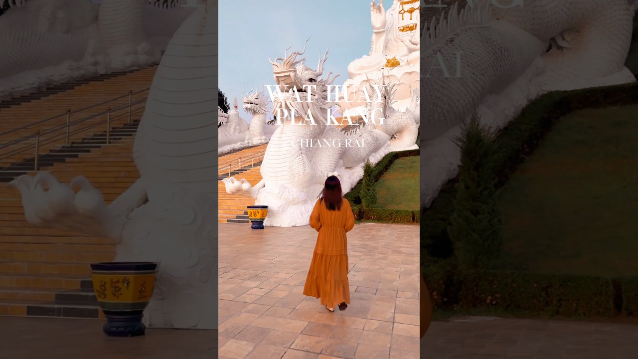 YouTube Short thumbnail